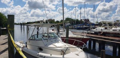 Apollo Beach Marina photo 27