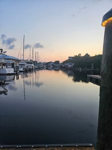Apollo Beach Marina photo 30
