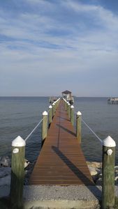 Apollo Beach Marina photo 32