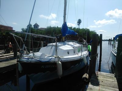 Apollo Beach Marina photo 38