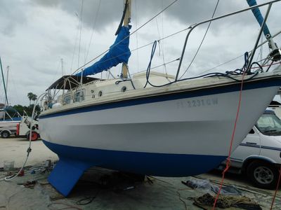 Apollo Beach Marina photo 39