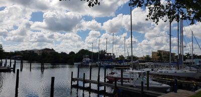 Apollo Beach Marina photo 41