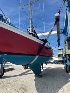 Apollo Beach Marina photo 48