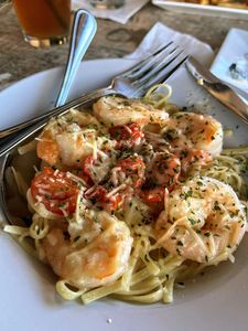 Latitudes Apollo photo 14