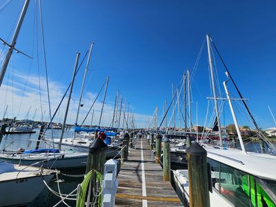 Tampa Sailing Squadron
