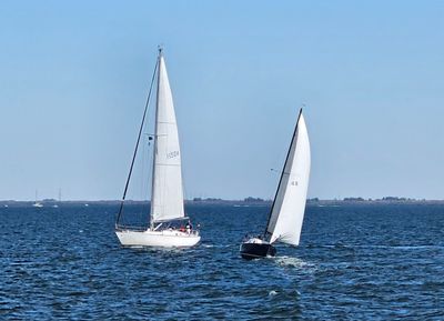 Tampa Sailing Squadron photo 2