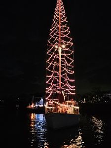 Tampa Sailing Squadron photo 14