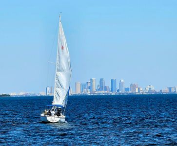 Tampa Sailing Squadron photo 16