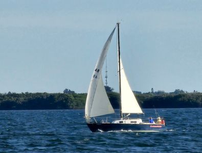 Tampa Sailing Squadron photo 17