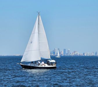 Tampa Sailing Squadron photo 32