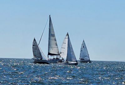 Tampa Sailing Squadron photo 37