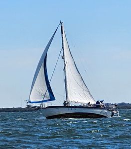 Tampa Sailing Squadron photo 38