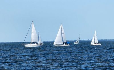 Tampa Sailing Squadron photo 44
