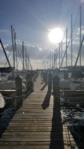 Tampa Sailing Squadron photo 54