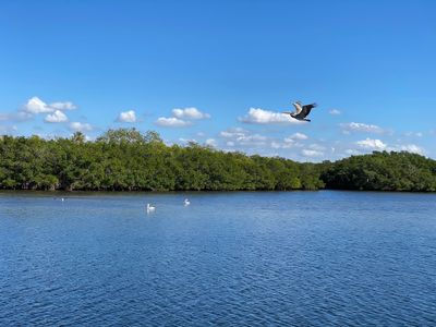 Freedom Boat Club – Ruskin: Antigua Cove photo 10