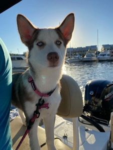 Freedom Boat Club – Ruskin: Antigua Cove photo 36