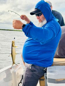 Freedom Boat Club – Ruskin: Antigua Cove photo 39