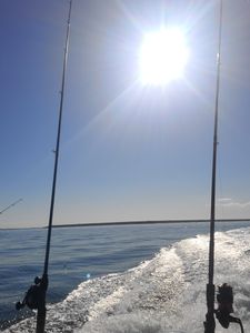 Freedom Boat Club – Ruskin: Antigua Cove photo 40