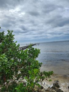 Freedom Boat Club – Ruskin: Village Marina photo 6