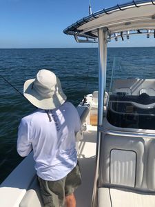 Freedom Boat Club – Ruskin: Village Marina photo 10