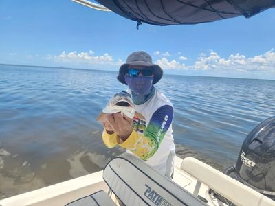 Freedom Boat Club – Ruskin: Village Marina photo 17