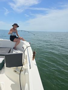 Freedom Boat Club – Ruskin: Village Marina photo 18