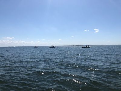 Freedom Boat Club – Ruskin: Village Marina photo 23