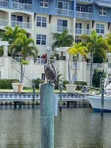 Freedom Boat Club – Ruskin: Village Marina photo 24