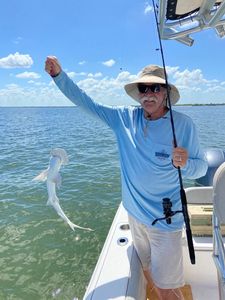 Freedom Boat Club – Ruskin: Village Marina photo 25