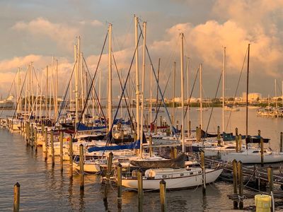 Davis Island Yacht Club