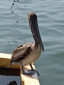 Fisherman’s Wharf Marina photo 26