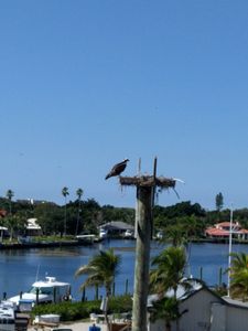 Fisherman’s Wharf Marina photo 51