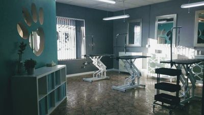 Grooming Tails Of Venice photo 2