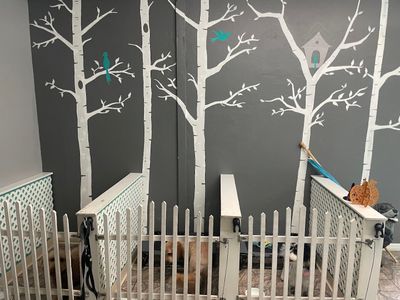 Grooming Tails Of Venice photo 4