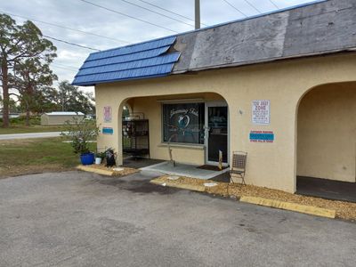 Grooming Tails Of Venice photo 5