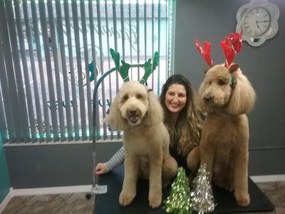 Grooming Tails Of Venice photo 14