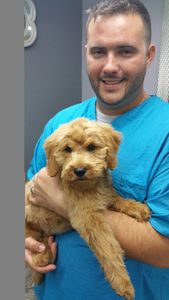 Grooming Tails Of Venice photo 17