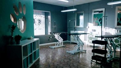 Grooming Tails Of Venice photo 21