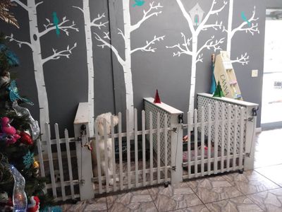 Grooming Tails Of Venice photo 22