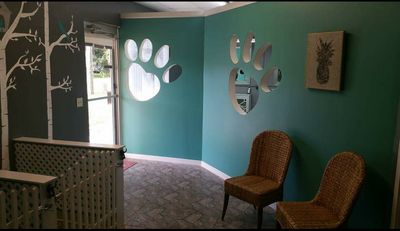 Grooming Tails Of Venice photo 30