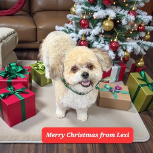 Tranquility Pet Spa photo 26