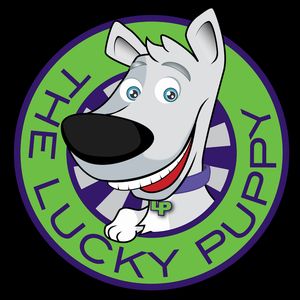 The Lucky Puppy Venice photo 6