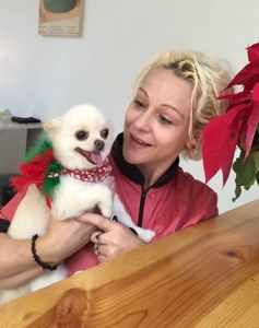 rain dogs pet grooming photo 4