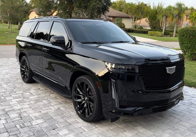 Liquid Shine Elite Mobile Detailing photo 11