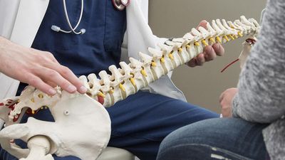 Indelicato Family Chiropractic