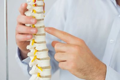 Indelicato Family Chiropractic photo 27