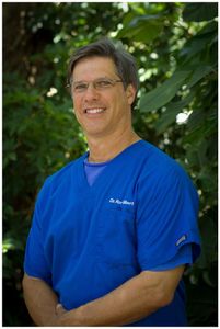 Gilbert Chiropractic Clinic photo 15