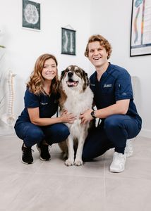 Trilogy Chiropractic