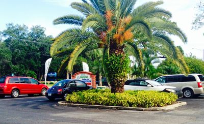 Natural Healing Arts Medical Center photo 20