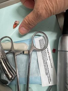 Dream Smile Dental photo 10